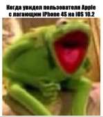 531x604