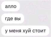 463x336