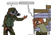 1186x810