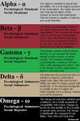 600x900