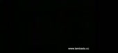 640x292