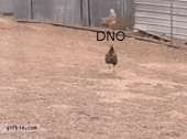 316x235