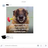532x537