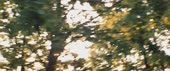 720x304