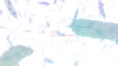 1280x720