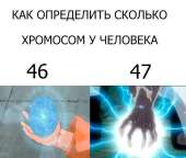 567x482