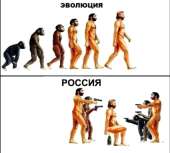 530x477