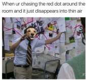 480x450