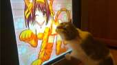1280x720