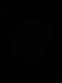1920x2560