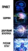 483x884
