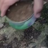 360x360