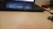 1280x720