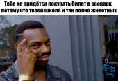 1168x804