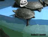 400x309