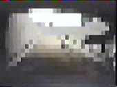 320x240