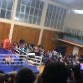 360x360