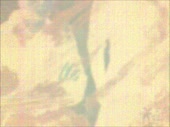 480x360