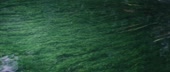 1200x512