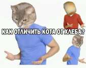 600x479