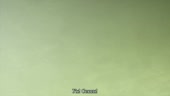 480x272