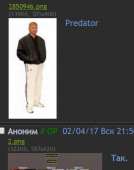 341x431