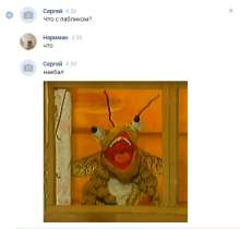 509x486