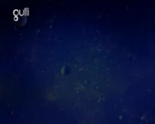 450x360