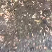 360x360