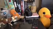 640x360