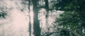1920x816
