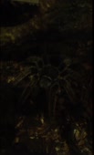 618x1014
