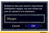 480x329