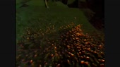 640x360