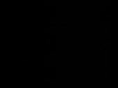 320x240