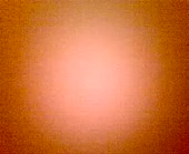 352x288