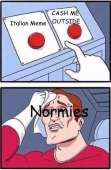353x538