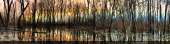 1920x505