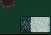 415x289