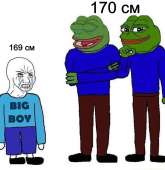 739x758
