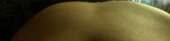 1192x291