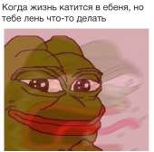 500x495
