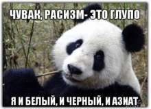 450x326
