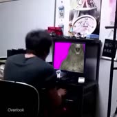 480x480