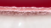 1280x720