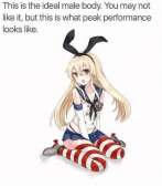 466x538