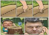 600x434
