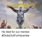 500x453
