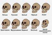 585x390