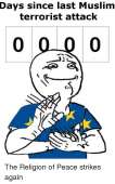 500x800